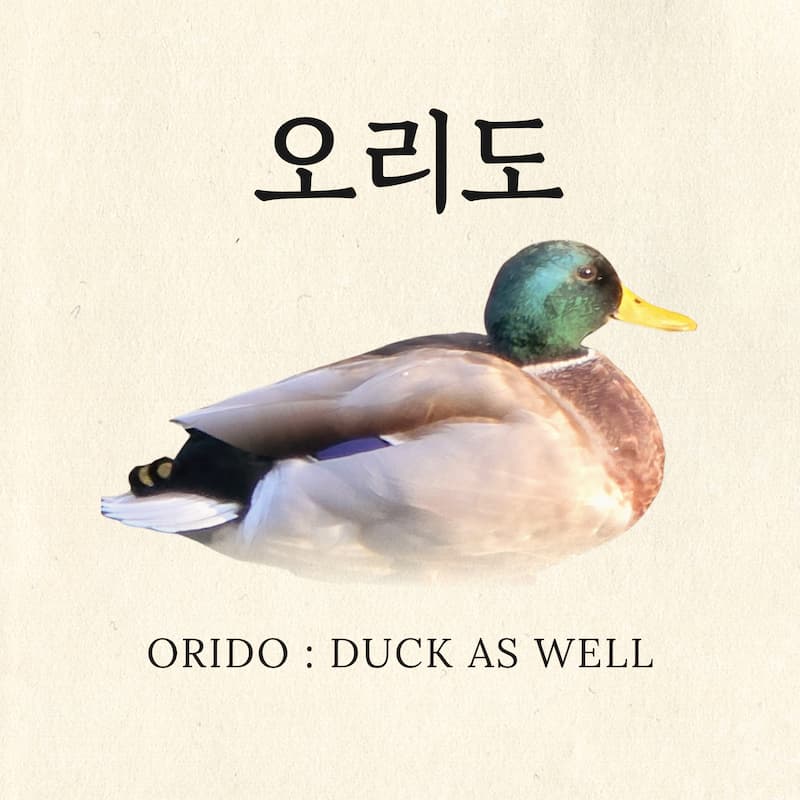 ORIDO logo